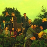Photo 5 - vendanges-1
