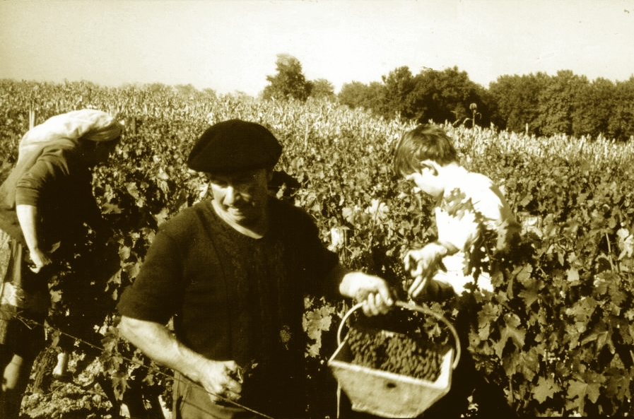 Vignobles Merlet