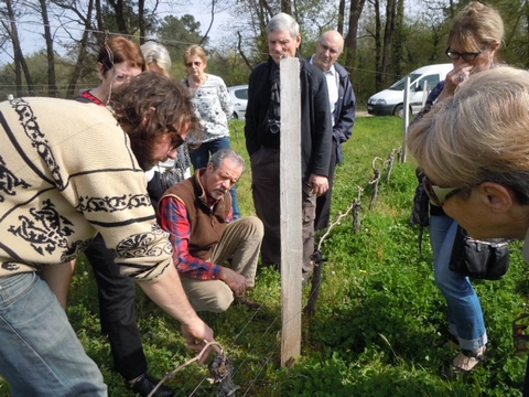 Nicolas Merlet fait visiter les vignes du domaine à Saint denis de Pile