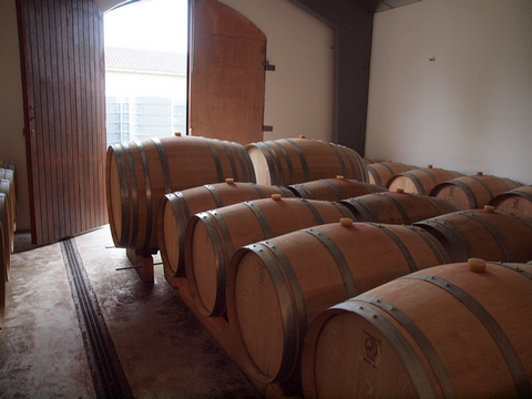 Le chai à barriques des vignobles Merlet